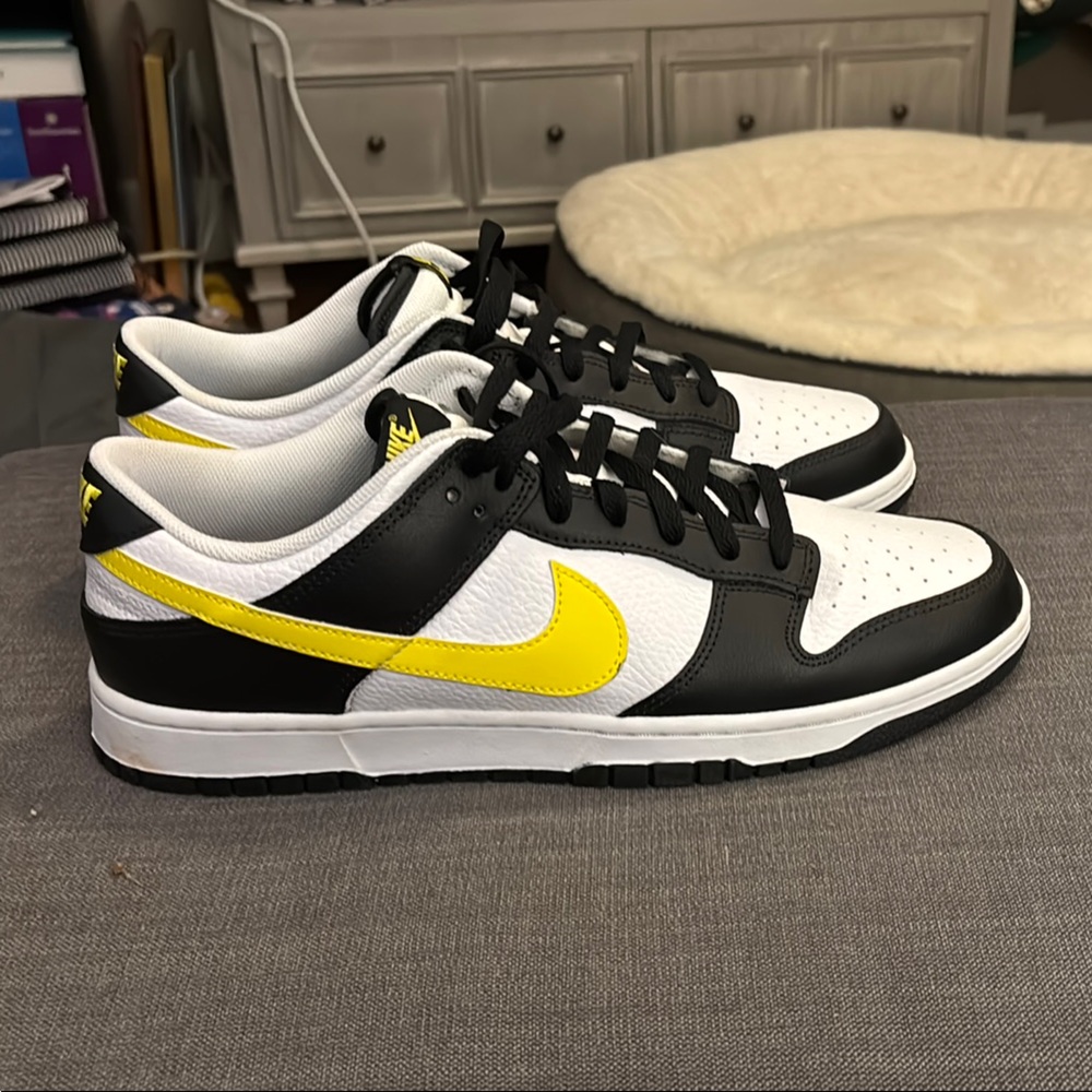Nike Dunks, never worn.